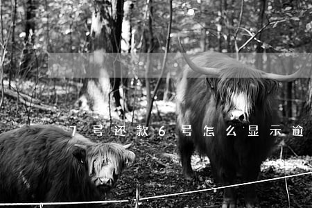 7号还款6号怎么显示逾期呢 7号还款6号怎么显示逾期呢