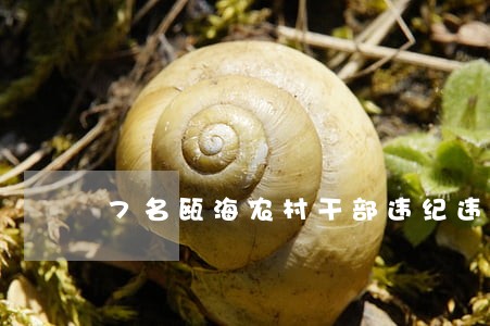 7名瓯海农村干部违纪违法 7名瓯海农村干部违纪违法