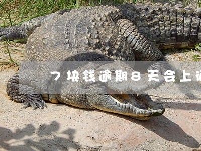 7块钱逾期8天会上征信吗
