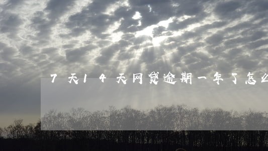 7天14天网贷逾期一年了怎么办 7天14天网贷逾期一年了怎么办