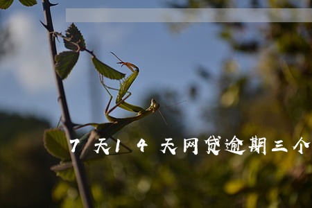 7天14天网贷逾期三个月 7天14天网贷逾期三个月