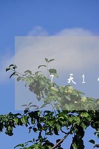 7天14天高炮逾期的后果 7天14天高炮逾期的后果