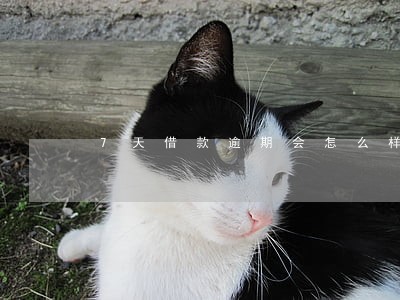 7天借款逾期会怎么样 7天借款逾期会怎么样