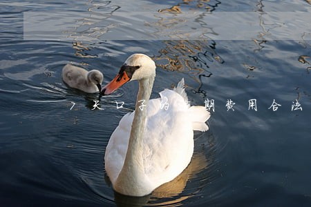 7天口子的逾期费用合法嘛