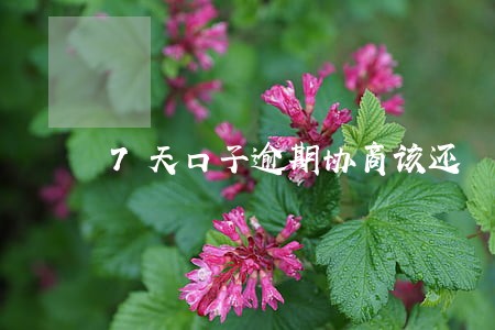 7天口子逾期协商该还 7天口子逾期协商该还