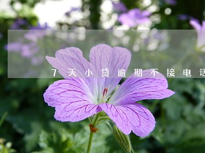 7天小贷逾期不接电话 7天小贷逾期不接电话