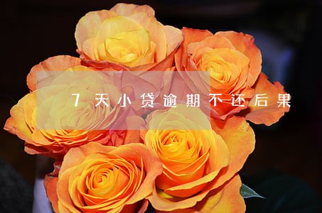 7天小贷逾期不还后果 7天小贷逾期不还后果