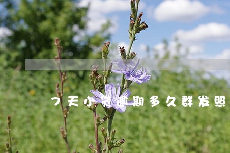 7天小贷逾期多久群发照片 7天小贷逾期多久群发照片