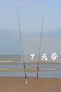 7天带只还本金可以吗 7天带只还本金可以吗