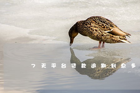 7天平台贷款逾期利息多少 7天平台贷款逾期利息多少