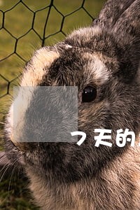 7天的急用钱逾期一天