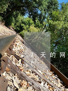 7天的网贷逾期不还会怎样 7天的网贷逾期不还会怎样