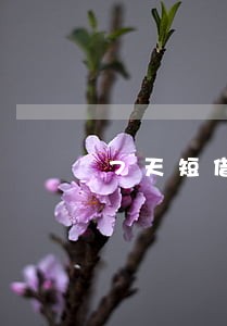 7天短借逾期三天 7天短借逾期三天