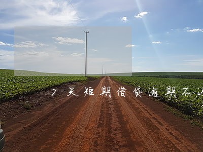 7天短期借贷逾期不还怎么办 7天短期借贷逾期不还怎么办