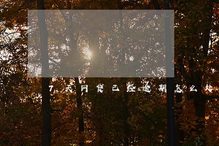 7天网贷已经逾期怎么处理 7天网贷已经逾期怎么处理