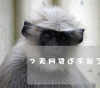 7天网贷还不起了全部逾期了 7天网贷还不起了全部逾期了