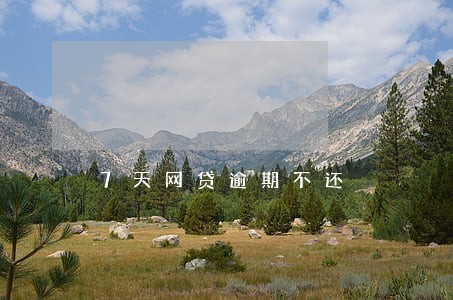 7天网贷逾期不还 7天网贷逾期不还