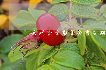 7天网贷逾期了会有逾期费用吗 7天网贷逾期了会有逾期费用吗