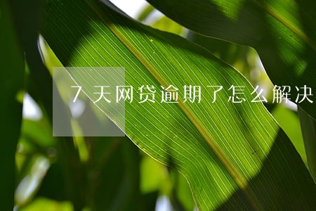 7天网贷逾期了怎么解决