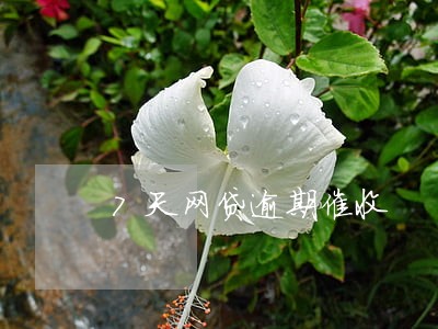 7天网贷逾期催收 7天网贷逾期催收