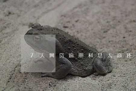 7天网贷逾期利息太高还不起 7天网贷逾期利息太高还不起