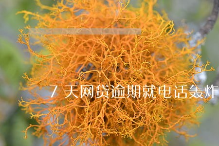 7天网贷逾期就电话轰炸 7天网贷逾期就电话轰炸