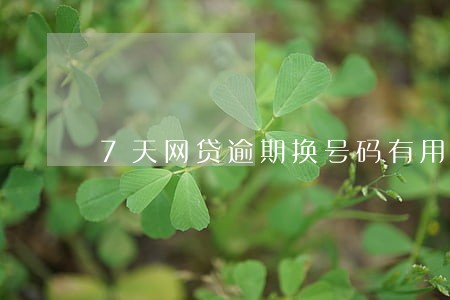 7天网贷逾期换号码有用吗 7天网贷逾期换号码有用吗