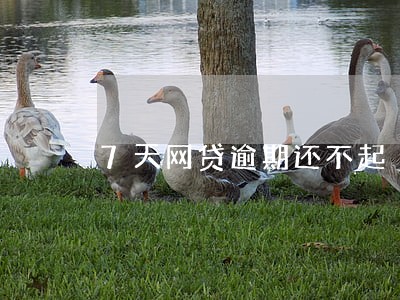 7天网贷逾期还不起 7天网贷逾期还不起