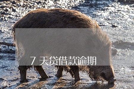 7天贷借款逾期 7天贷借款逾期