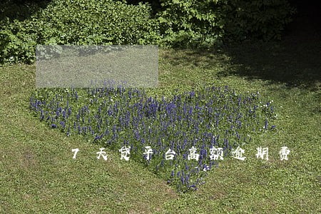 7天贷平台高额逾期费 7天贷平台高额逾期费