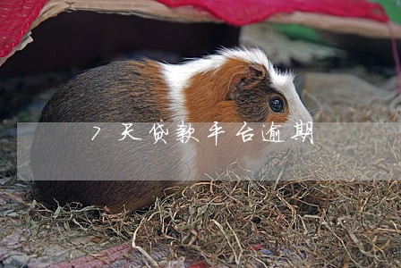 7天贷款平台逾期 7天贷款平台逾期