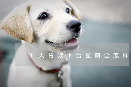 7天贷款平台逾期会怎样 7天贷款平台逾期会怎样
