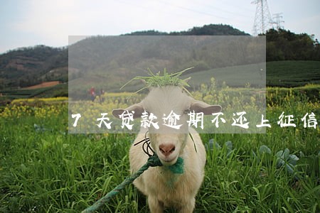 7天贷款逾期不还上征信吗 7天贷款逾期不还上征信吗