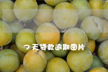 7天贷款逾期图片 7天贷款逾期图片