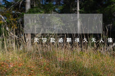 7天贷款逾期很久无人催收 7天贷款逾期很久无人催收