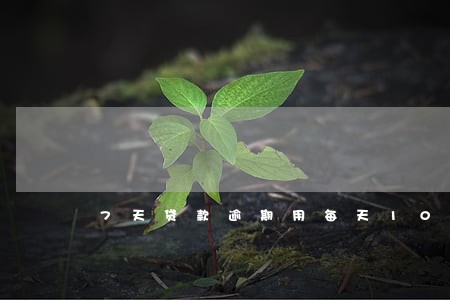 7天贷款逾期用每天100块