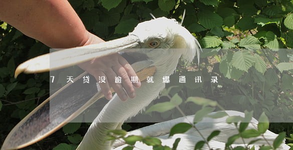 7天贷没逾期就爆通讯录 7天贷没逾期就爆通讯录