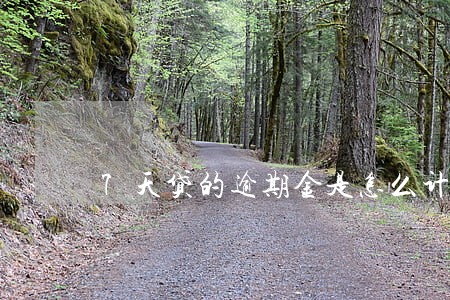 7天贷的逾期金是怎么计算的
