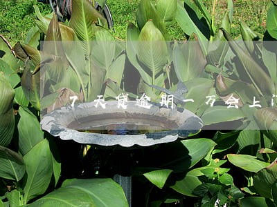 7天贷逾期一万会上门吗 7天贷逾期一万会上门吗