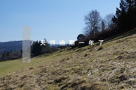 7天贷逾期一年了 7天贷逾期一年了