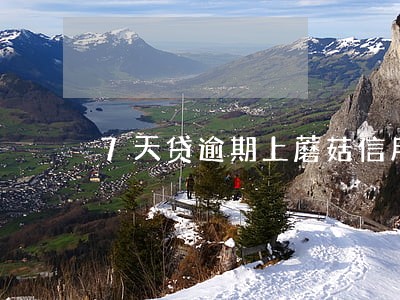 7天贷逾期上蘑菇信用吗 7天贷逾期上蘑菇信用吗