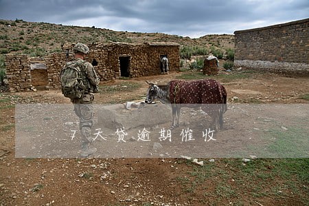 7天贷逾期催收 7天贷逾期催收