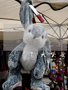 7天贷逾期催收多久停止 7天贷逾期催收多久停止