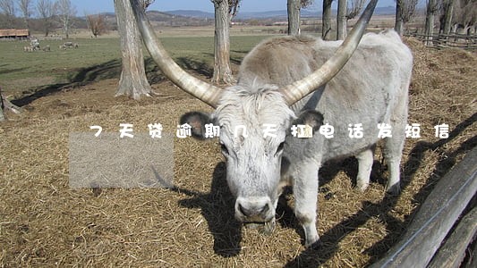 7天贷逾期几天打电话发短信 7天贷逾期几天打电话发短信