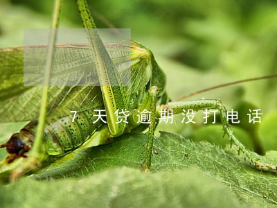 7天贷逾期没打电话 7天贷逾期没打电话