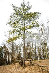 7天贷逾期没还会上门堵吗 7天贷逾期没还会上门堵吗
