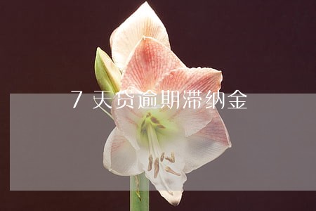 7天贷逾期滞纳金 7天贷逾期滞纳金