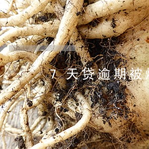 7天贷逾期被爆通讯录