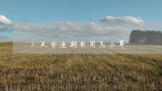 7天贷逾期费用怎么算