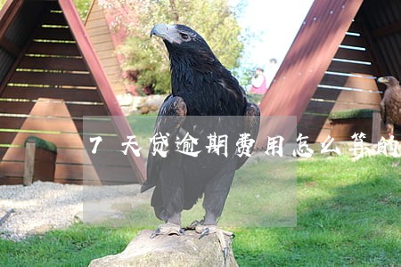 7天贷逾期费用怎么算的 7天贷逾期费用怎么算的